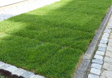 Garten Grünstreifen aus Rollrasen
