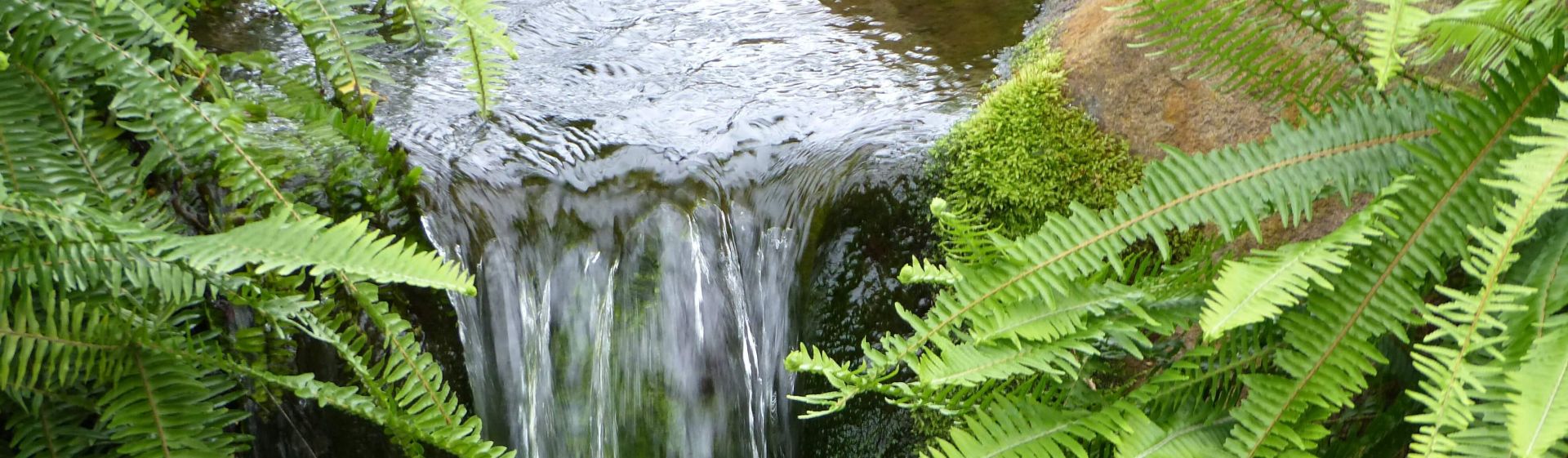 Mini Wasserfall im eigenen Garten